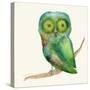 Green Owl-Wyanne-Stretched Canvas