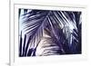 Green Palm Leaf over Sky Background. Beautiful Palm Leaf Photo with Moody Effect Tone. Palm Leaves-Davdeka-Framed Photographic Print