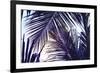 Green Palm Leaf over Sky Background. Beautiful Palm Leaf Photo with Moody Effect Tone. Palm Leaves-Davdeka-Framed Photographic Print