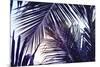 Green Palm Leaf over Sky Background. Beautiful Palm Leaf Photo with Moody Effect Tone. Palm Leaves-Davdeka-Mounted Photographic Print