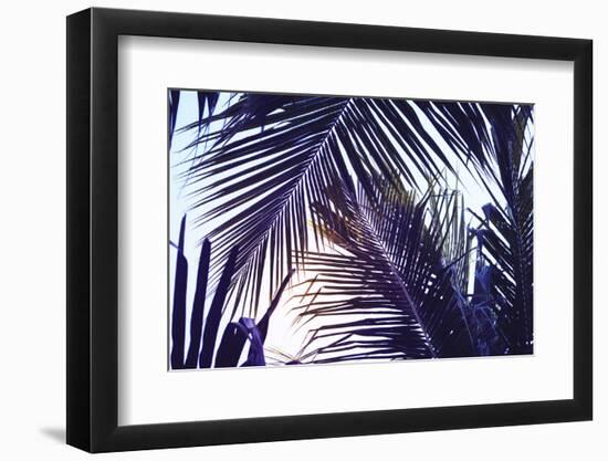 Green Palm Leaf over Sky Background. Beautiful Palm Leaf Photo with Moody Effect Tone. Palm Leaves-Davdeka-Framed Photographic Print