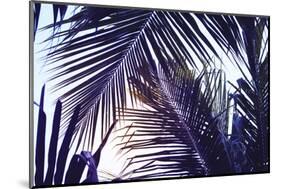 Green Palm Leaf over Sky Background. Beautiful Palm Leaf Photo with Moody Effect Tone. Palm Leaves-Davdeka-Mounted Photographic Print