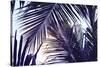 Green Palm Leaf over Sky Background. Beautiful Palm Leaf Photo with Moody Effect Tone. Palm Leaves-Davdeka-Stretched Canvas