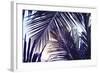 Green Palm Leaf over Sky Background. Beautiful Palm Leaf Photo with Moody Effect Tone. Palm Leaves-Davdeka-Framed Photographic Print