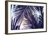 Green Palm Leaf over Sky Background. Beautiful Palm Leaf Photo with Moody Effect Tone. Palm Leaves-Davdeka-Framed Photographic Print