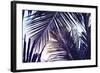 Green Palm Leaf over Sky Background. Beautiful Palm Leaf Photo with Moody Effect Tone. Palm Leaves-Davdeka-Framed Photographic Print