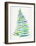 Green Palm Leaf-Cat Coquillette-Framed Giclee Print