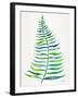 Green Palm Leaf-Cat Coquillette-Framed Giclee Print