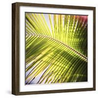 Green Palm Leaves, Jambiani, Zanzibar, Tanzania, East Africa-Lee Frost-Framed Photographic Print