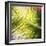 Green Palm Leaves, Jambiani, Zanzibar, Tanzania, East Africa-Lee Frost-Framed Photographic Print