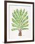 Green Palm Tree-Cat Coquillette-Framed Giclee Print