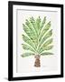 Green Palm Tree-Cat Coquillette-Framed Giclee Print