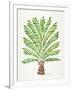 Green Palm Tree-Cat Coquillette-Framed Art Print