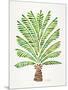 Green Palm Tree-Cat Coquillette-Mounted Art Print