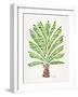 Green Palm Tree-Cat Coquillette-Framed Giclee Print