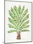 Green Palm Tree-Cat Coquillette-Mounted Giclee Print