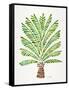 Green Palm Tree-Cat Coquillette-Framed Stretched Canvas