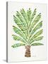 Green Palm Tree-Cat Coquillette-Stretched Canvas