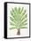 Green Palm Tree-Cat Coquillette-Framed Stretched Canvas