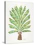 Green Palm Tree-Cat Coquillette-Stretched Canvas