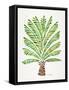 Green Palm Tree-Cat Coquillette-Framed Stretched Canvas