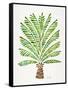 Green Palm Tree-Cat Coquillette-Framed Stretched Canvas