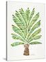 Green Palm Tree-Cat Coquillette-Stretched Canvas