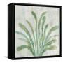 Green Palm-Jacob Q-Framed Stretched Canvas