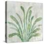 Green Palm-Jacob Q-Stretched Canvas