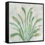 Green Palm-Jacob Q-Framed Stretched Canvas