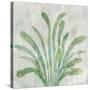 Green Palm-Jacob Q-Stretched Canvas