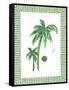 Green Palms II-Nicholas Biscardi-Framed Stretched Canvas
