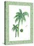 Green Palms II-Nicholas Biscardi-Stretched Canvas