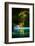 Green Paradise-Philippe Sainte-Laudy-Framed Photographic Print
