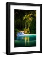 Green Paradise-Philippe Sainte-Laudy-Framed Photographic Print