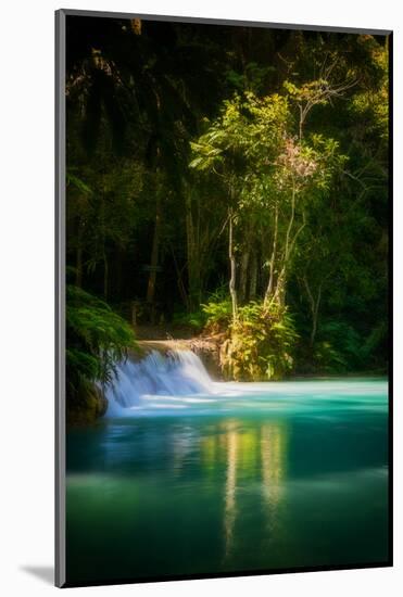 Green Paradise-Philippe Sainte-Laudy-Mounted Photographic Print
