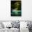 Green Paradise-Philippe Sainte-Laudy-Stretched Canvas displayed on a wall