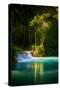 Green Paradise-Philippe Sainte-Laudy-Stretched Canvas