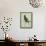 Green Parakeet-Georges-Louis Buffon-Framed Stretched Canvas displayed on a wall
