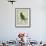 Green Parakeet-Georges-Louis Buffon-Framed Giclee Print displayed on a wall