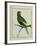 Green Parakeet-Georges-Louis Buffon-Framed Giclee Print