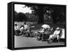 Green Park 1950S-null-Framed Stretched Canvas