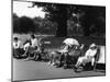 Green Park 1950S-null-Mounted Photographic Print