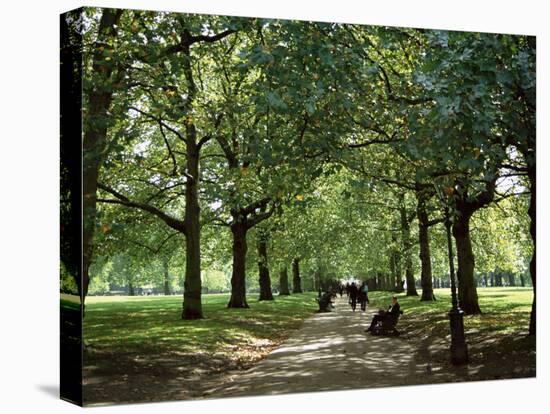 Green Park, London, England, United Kingdom-Ethel Davies-Stretched Canvas