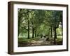 Green Park, London, England, United Kingdom-Ethel Davies-Framed Photographic Print