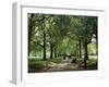 Green Park, London, England, United Kingdom-Ethel Davies-Framed Photographic Print