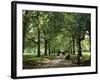 Green Park, London, England, United Kingdom-Ethel Davies-Framed Photographic Print