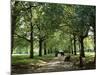 Green Park, London, England, United Kingdom-Ethel Davies-Mounted Photographic Print