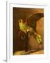 Green Parrot on Perch, 1886-Vincent van Gogh-Framed Giclee Print