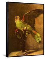 Green Parrot on Perch, 1886-Vincent van Gogh-Framed Stretched Canvas